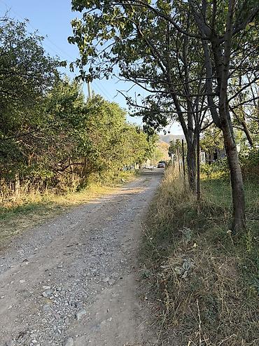 айыл банк кредит под залог недвижимости: 6 соток, Для строительства, Красная книга, Договор купли-продажи — 5