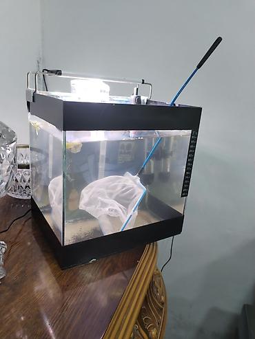 akvarium isiq: Dördbucaq akvarium, Boş, 12 l — 2