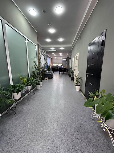 red centr: Продажа офисов 252 м², С ремонтом, Многоэтажное здание, 1 этаж — 3