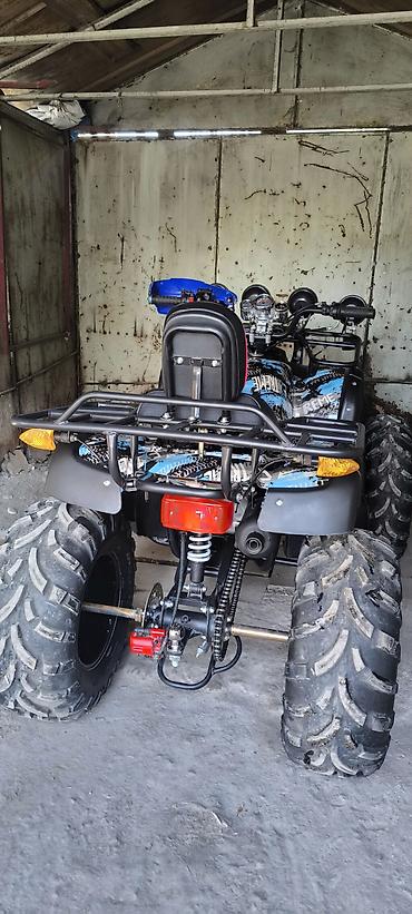 Квадроциклы: Квадроцикл ATV (двухместный), внедорожный. Основные характеристики и — 2