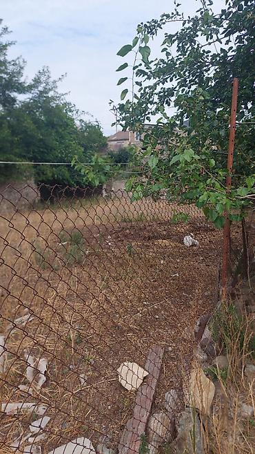 100 kv: 7 sot, Tikinti, Mülkiyyətçi, Kupça (Çıxarış), Texniki pasport — 5