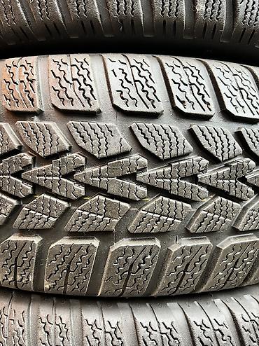 сапог муссо: Шины 195 / 65 / R 15, Зима, Б/у, Комплект, Германия, Dunlop — 2