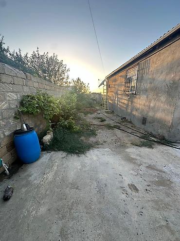 neftçala ev: 3 otaqlı, 100 kv. m, Yeni təmirli — 3