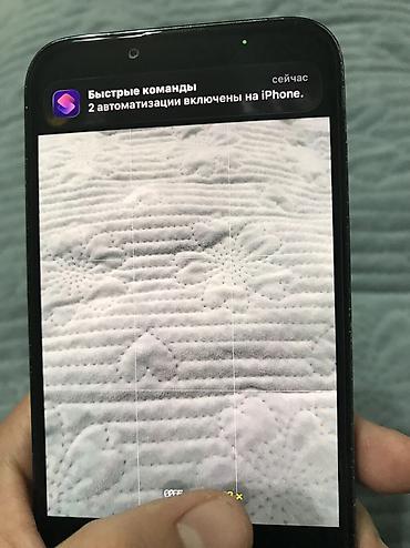 Apple iPhone: IPhone 13 Pro, Б/у, 256 ГБ, Alpine Green, Защитное стекло, Чехол, 70 % — 9