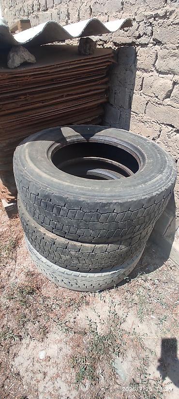 pirelli шины: Шины летние на гигант,атего б/у размер R17.5/235/75 Continental. цена — 1