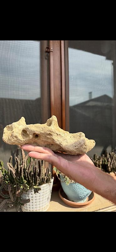 Аквариумные аксессуары и принадлежности: Akvarium daşları akanın içinənn çıxmadı toplam 18-19 klo bəzəkli — 2