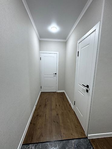 Кыймылсыз мүлк: 1 бөлмө, 48 м², 108-серия, 5 кабат, Евро оңдоо — 4