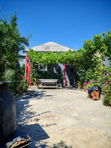 Digər bağ, çöl mebeli: Hövsan Zeytun qesebesi Beton yoluna 5deqiqelik məsafə.Binə və — 15