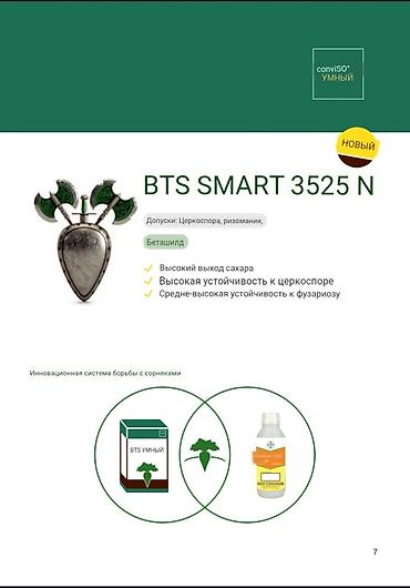 Свёкла: 10+1 акция срочно Семена Сахарной свеклы компании Beta Seed 2025 — 3