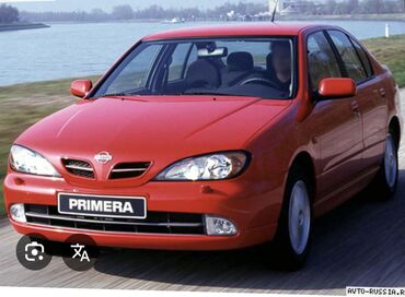Бамперы и комплектующие: Бампер Передний Nissan, Б/у, Оригинал