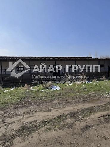 барахолка сокулук: 50 соток, Для бизнеса — 10