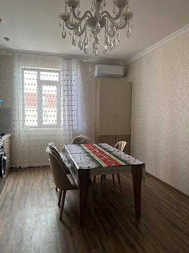 Günlük kirayə mənzillər: Studiya — 10