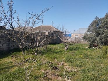 sabuncu rayonu sabuncu qesebesinde satilan evler: 14 sot, Makler, Kupça (Çıxarış)