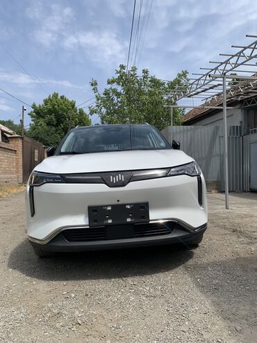 Weltmeister: Weltmeister W6, 2022 г., 40000 км, Передний, На заказ — 4