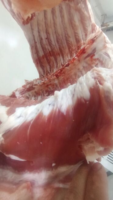 Ət: Məhsul: Qaban (donuz) əti – karkas və hissələr
və sala 7 manat — 16