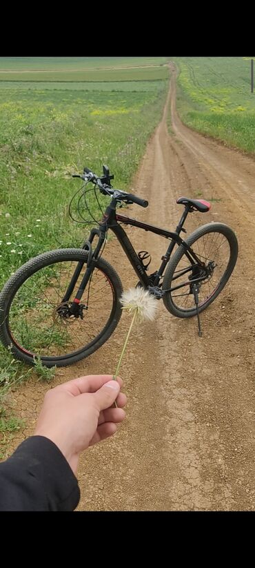 İdman velosipedləri: Dağ velosipedi 29" — 1