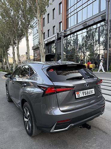 Lexus: Lexus NX: 2020 г., 2.5 л, Вариатор, Гибрид, Кроссовер — 6