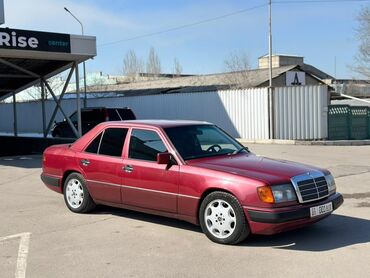 Mercedes-Benz: Mercedes-Benz W124: 1991 г., 2.3 л, Механика, Бензин