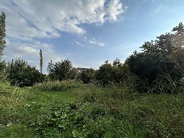 Torpaq sahələrinin satışı: 12 sot, Mülkiyyətçi, Kupça (Çıxarış) — 3