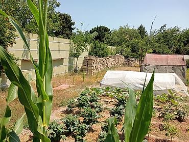 qusarda yer satilir: 6 sot, Tikinti, Makler, Kupça (Çıxarış) — 5