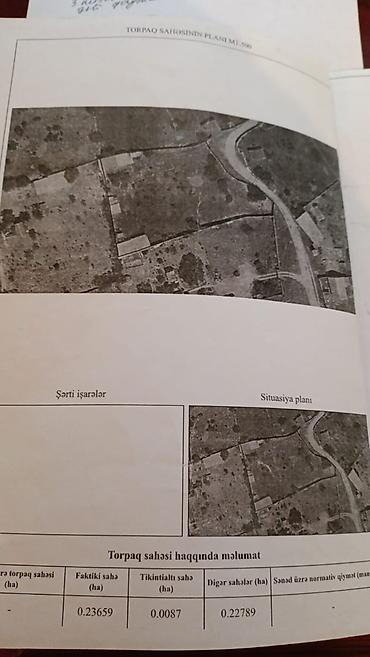 albali: Bakı, 80 kv. m, 3 otaqlı, Hovuzsuz, Su, İnternet, Qaz — 3