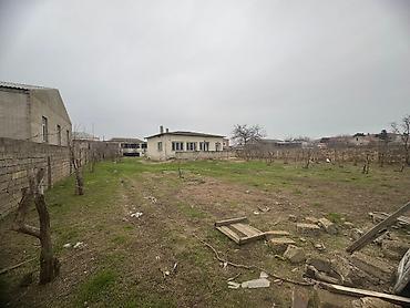 maştagada evlər: Torpaq satilir Unvan kurdexani mektebe yaxin paliknikaya yaxin usaq — 3