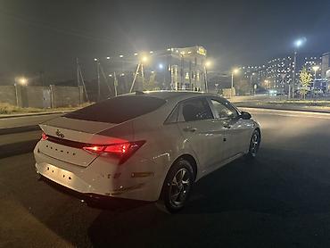 щит привор: Hyundai Avante: 2020 г., 1.6 л, Автомат, Бензин, Седан — 6