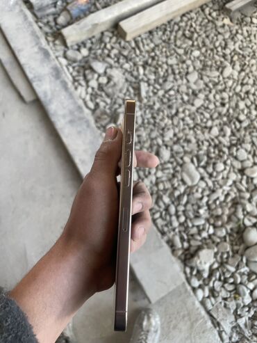 Apple iPhone: IPhone 16 Pro Max, Б/у, 256 ГБ, Золотой, Зарядное устройство, 100 %