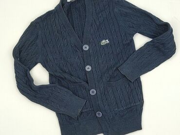 Sweater, Lacoste, 3-4 years, 98-104 cm, condition - Very good