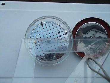 Medicinska oprema: Petri šolje za borere — 27