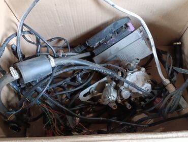 магазин комнатных растений в бишкеке: ГБЖ