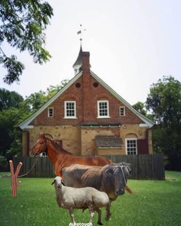 дом на иссык куле: Бизнес партнёр инвестор керек, мал чарбасы кой жылкы боюнча, бизде