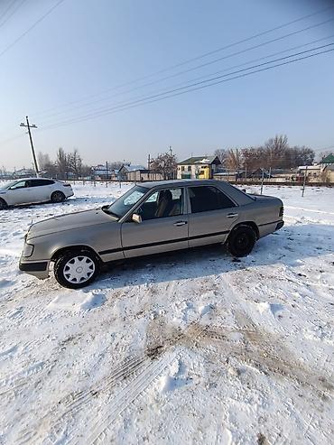 Mercedes-Benz: Mercedes-Benz W124: 1988 г., 2.3 л, Механика, Бензин — 21
