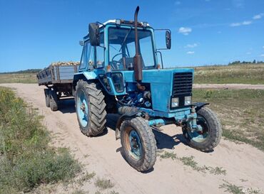 Тракторы МТЗ (Беларус): Модель: 80, Б/у, 1983 г., Трактор с другими агрегатами — 6