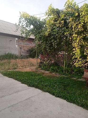 Продажа коттеджей и домов: Продаю дом с участком, в центре Беловодска,, дом 9 м / 16 м навес — 3