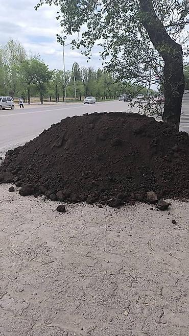 спил деревьев цена: Сеем газон (Подготовка участка,авто полив,ландшафтные работы, вывоз — 7
