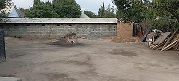 петровка кыргызстан: Достуктан уй сатылат Кут конушуна жакын Манас аэропорт жетпей уй чон — 6