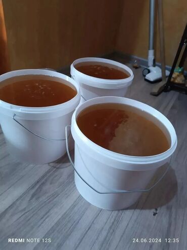 цена на мясо в бишкеке сегодня баранина: Ысык Атанын тоо балы сатылат оптом кг 500 сом Бишкек же машинага обмен