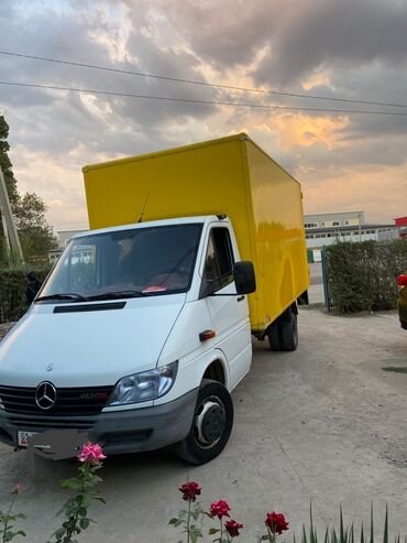 жеңил жүк ташуучу унаалар: Жеңил жүк ташуучу унаа, Mercedes-Benz, Стандарт