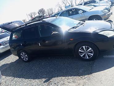 Ford: Ford Focus: 2003 г., Универсал — 10