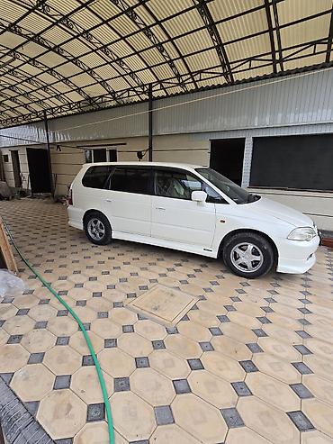 2022: Honda Odyssey: 2022 г., Автомат, Бензин, Минивэн — 6