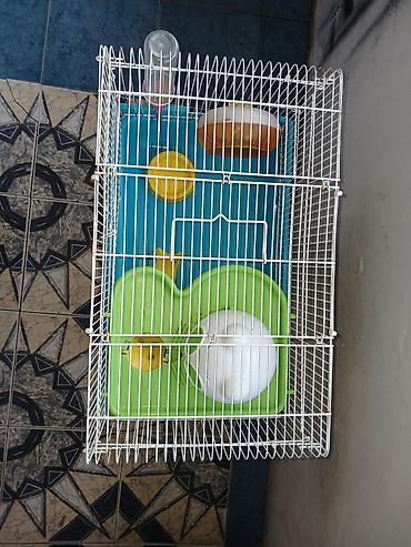 Heyvanlar: Hamster üçün tam dəst qəfəs uzunluqu 55 sm hündürlük 45 sm eni 30 sm — 5