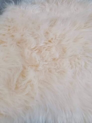 Tepisi i prostirke: Tepih — 7