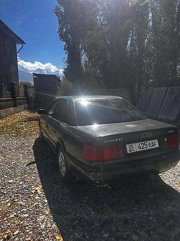 Audi: Audi 100: 1992 г., 2 л, Кол менен иштөөчү, Бензин, Седан — 1
