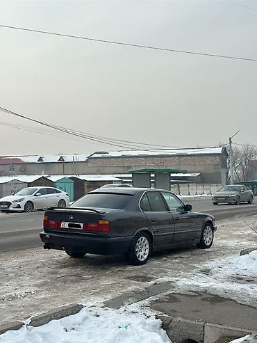 BMW: BMW 5 series: 1993 г., 2.5 л, Механика, Бензин, Седан — 5