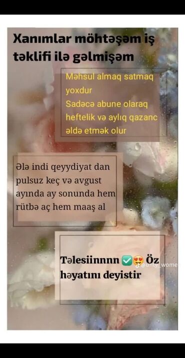 Inzibati heyət: Digər ixtisaslar