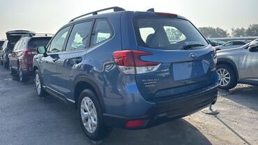 Subaru: Subaru Forester: 2019 г., 2.5 л, Вариатор, Бензин, Кроссовер — 7