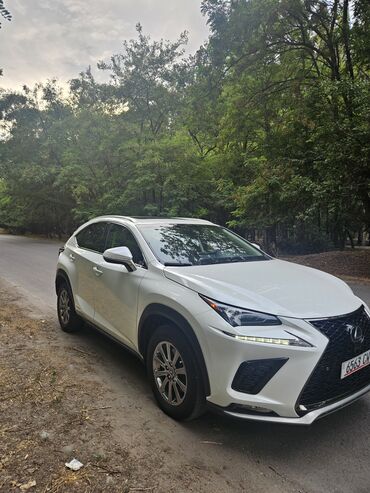 электро суктер: Lexus NX: 2018 г., 2.5 л, Автоматтык, Гибрид, Кроссовер