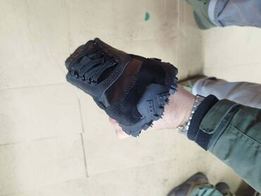 Patike: Patike, Lacoste, veličina - 46 — 2