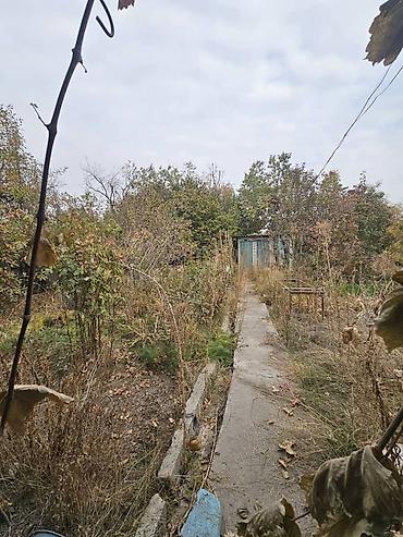 в канте дом: 2 комнаты, 40 м², 5 соток, Электричество, Холодная вода — 10